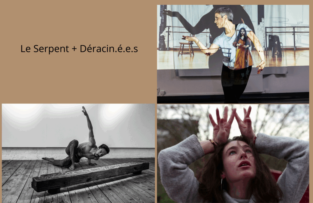 Soirée Danse et Mouvement « Le Serpent + Déraciné.es »